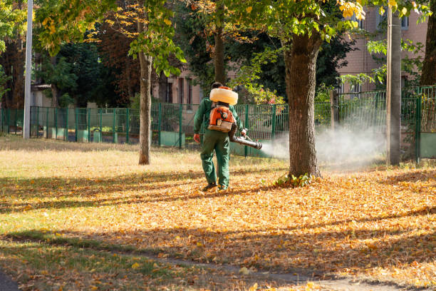 Reliable Verona, PA Pest Control Solutions